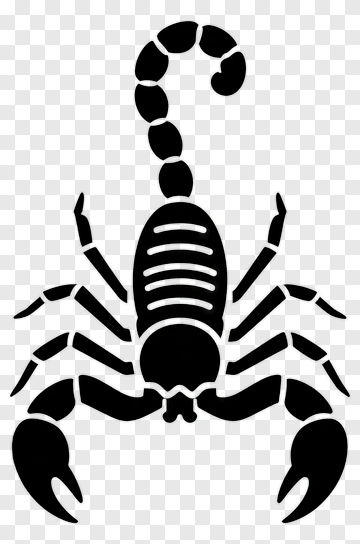 Black Scorpion PNG