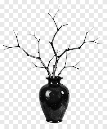 Black Vase With Branches PNG