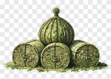 Cactus Ball And Hay Bales PNG