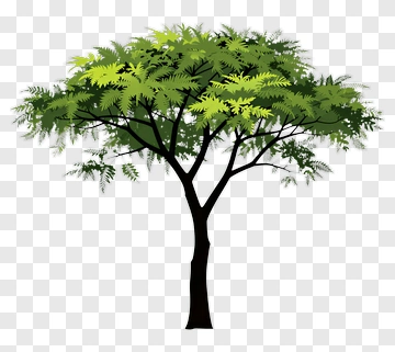 Green Tree PNG