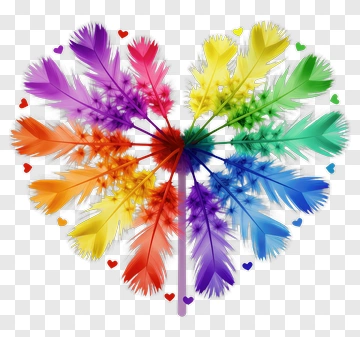 Colorful Heart-Shaped Feather Arrangement PNG