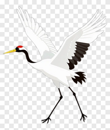 White Crane In Flight PNG
