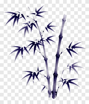 Black Bamboo Plant PNG