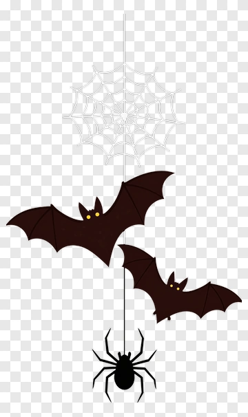 Halloween Bats And Spider With Web PNG