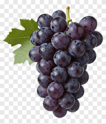 Bunch Of Purple Grapes PNG