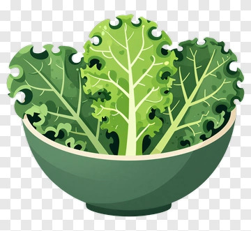 Bowl Of Fresh Green Lettuce PNG
