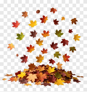Falling Autumn Leaves PNG