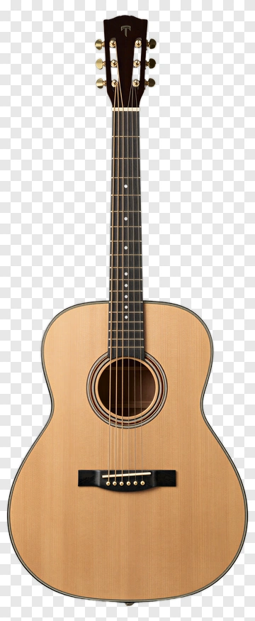 Acoustic Guitar PNG