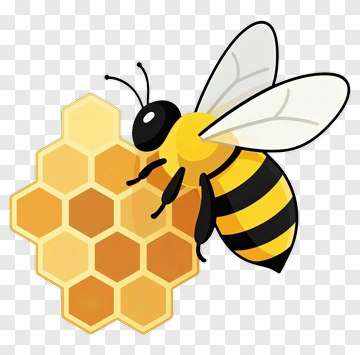 Cartoon Bee With Honeycomb PNG
