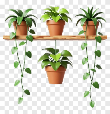 Hanging Plants On A Wooden Shelf PNG