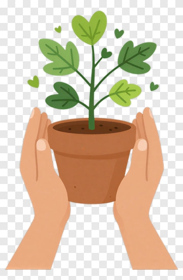 Hands Holding A Potted Plant PNG