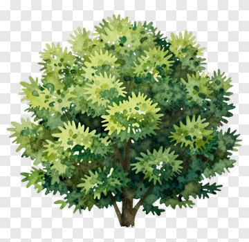 Watercolor Green Bush PNG