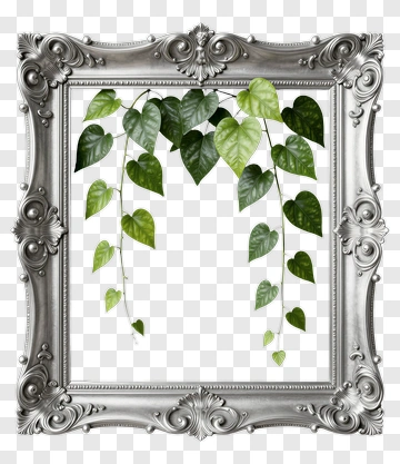 Framed Green Leaves PNG