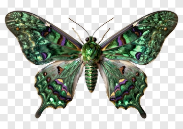 Colorful Butterfly With Intricate Patterns PNG