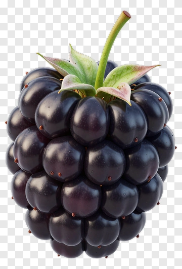 Realistic Blackberry With Green Leaves PNG