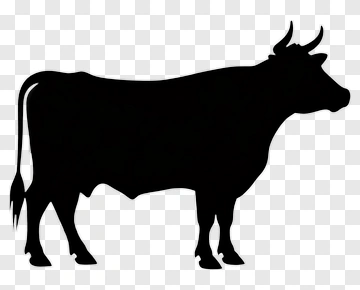Silhouette Of A Cow PNG