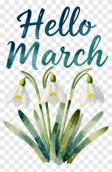Hello March With Snowdrop Flowers PNG