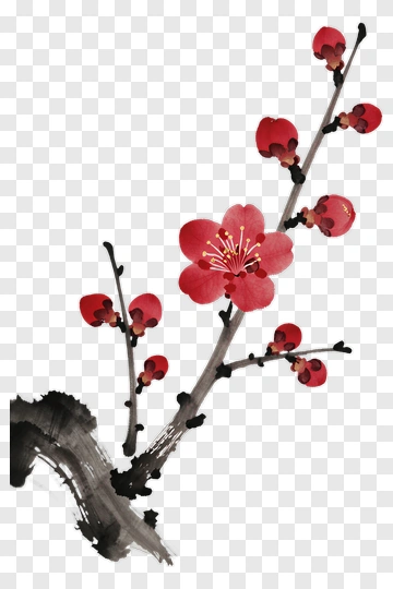 Red Blossom Branch With Flowers PNG