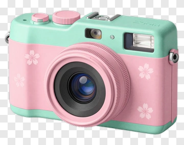 Pink And Green Camera With Floral Design PNG