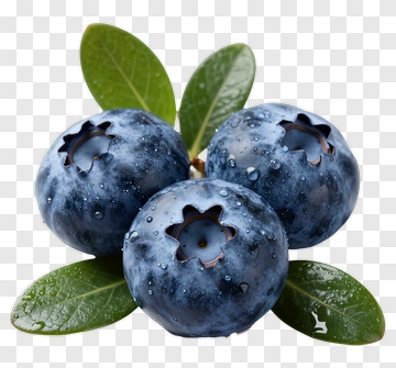 Fresh Blueberries With Green Leaves PNG