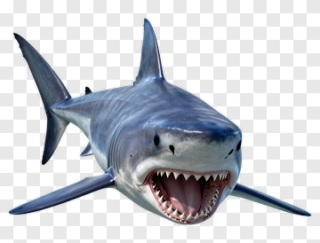 3D Shark With Open Mouth PNG