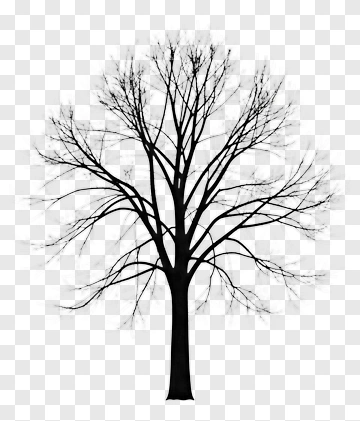 Silhouette Tree PNG