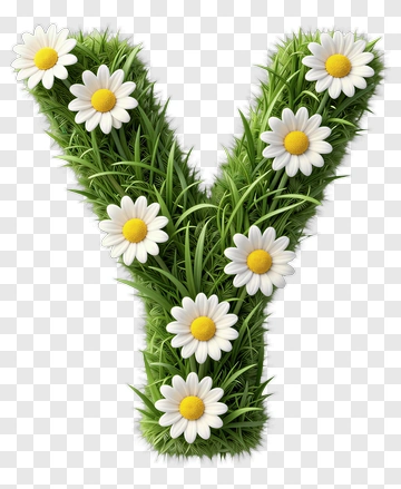 Flower Y Shape Made Of Grass And Daisies PNG