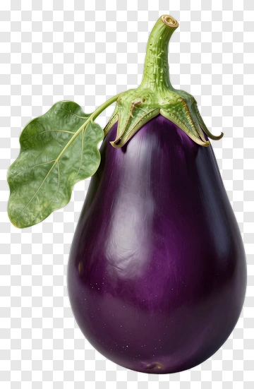 Fresh Eggplant With Leaf PNG