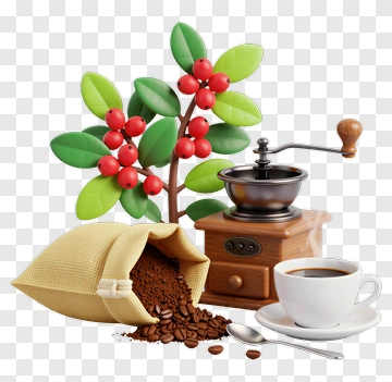 Coffee Bean Composition With Grinder And Cup PNG