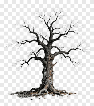 Barren Tree With Gnarled Roots PNG
