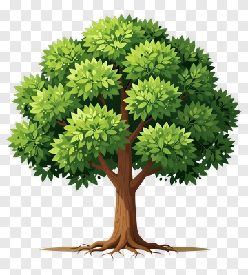 Colorful Tree PNG