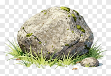 Rock Surrounded By Grass PNG