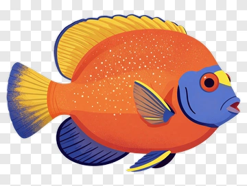 Colorful Fish PNG