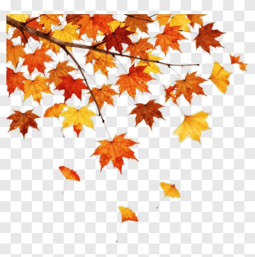 Autumn Maple Leaves Falling From A Branch PNG