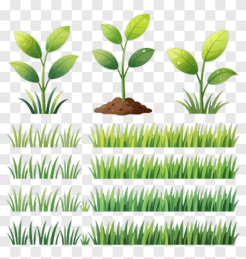 Green Plants And Grass Elements PNG