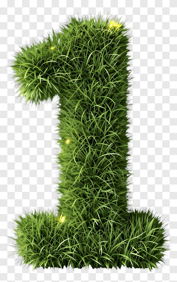 Green Grass Number One PNG