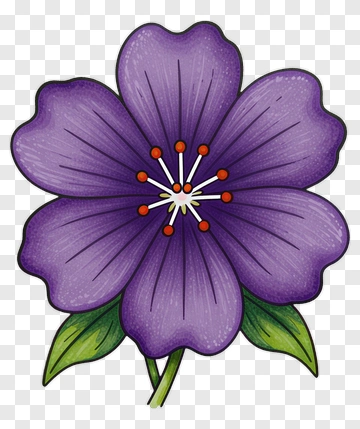 Purple Flower With Green Leaves PNG