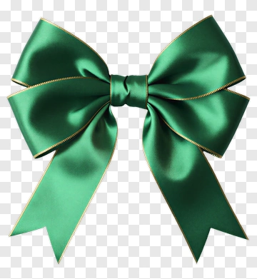 Green Ribbon Bow PNG