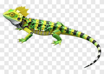 Colorful Lizard With Spikes PNG