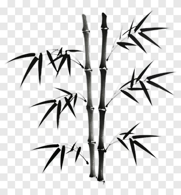 Black Bamboo Plant PNG