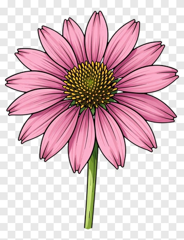 Pink Flower With Green Stem PNG