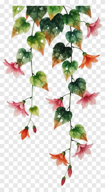 Watercolor Flowering Vine PNG