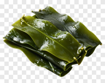 Seaweed Sheets For Sushi Preparation PNG