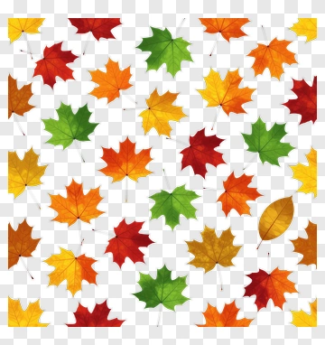 Colorful Autumn Leaves PNG