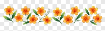 Colorful Flower Border PNG
