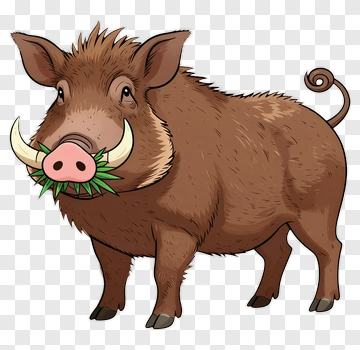 Cartoon Wild Boar Holding Grass PNG