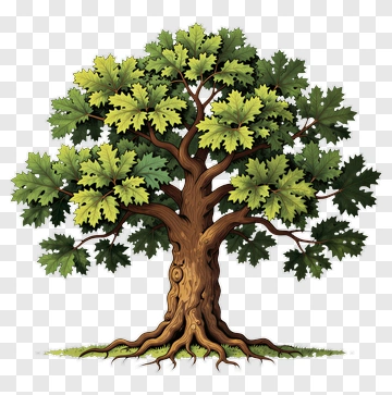 Colorful Tree With Green Leaves PNG