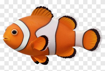 Clownfish Swimming PNG