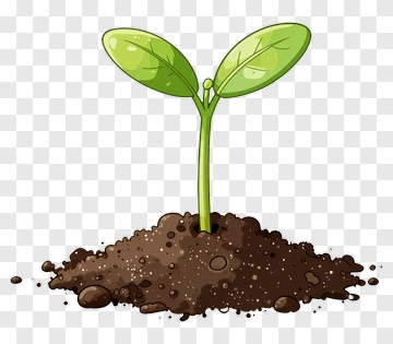 Cartoon Plant Growing From Soil PNG