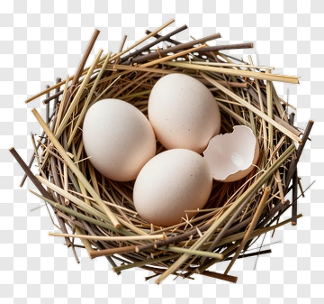 Nest With Three Eggs PNG